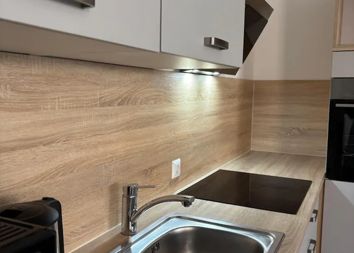 公寓 Apartments Villach